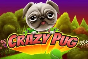 Crazy Pug