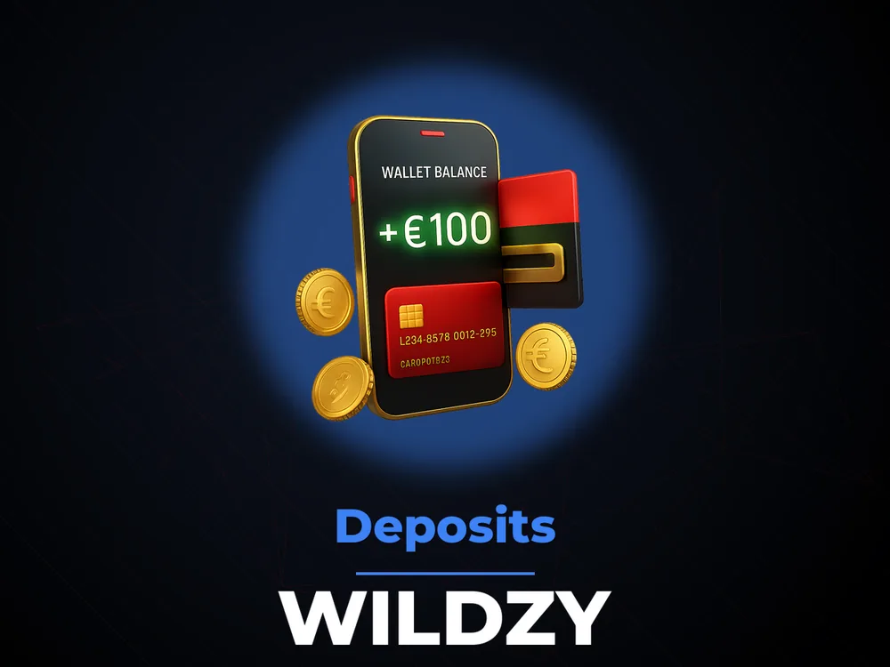 wildzy - Deposits