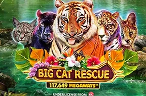 Big Cat Rescue Megaways
