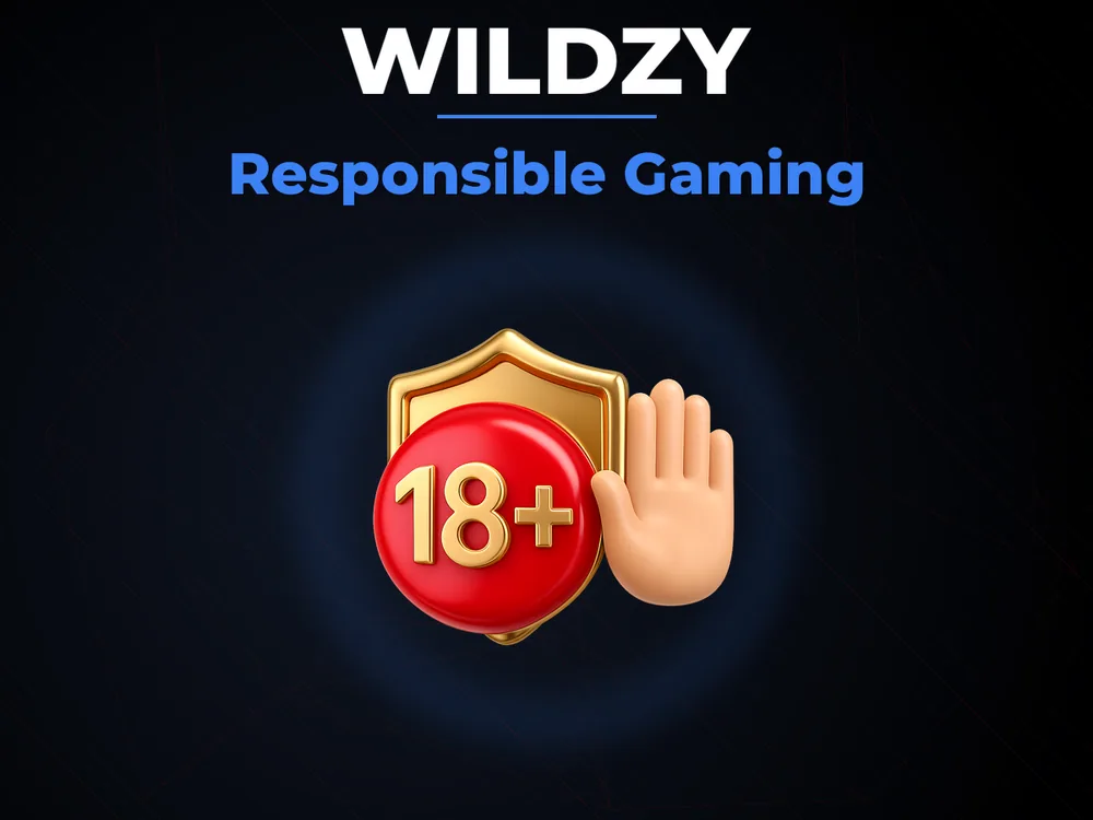 wildzy - Responsible Gaming