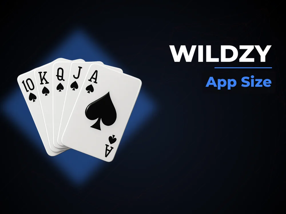 wildzy - App Size